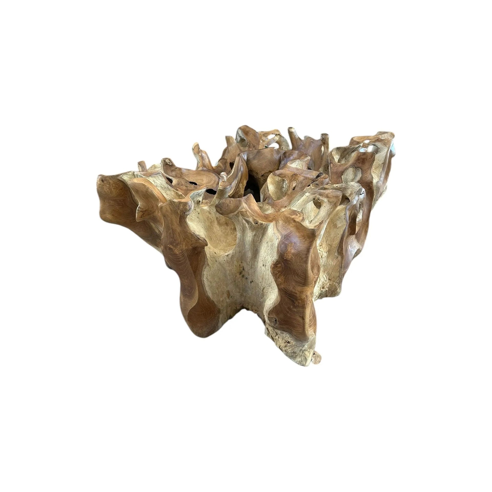 Teak Root Deco Coffee Table 24” x 32” Anteak