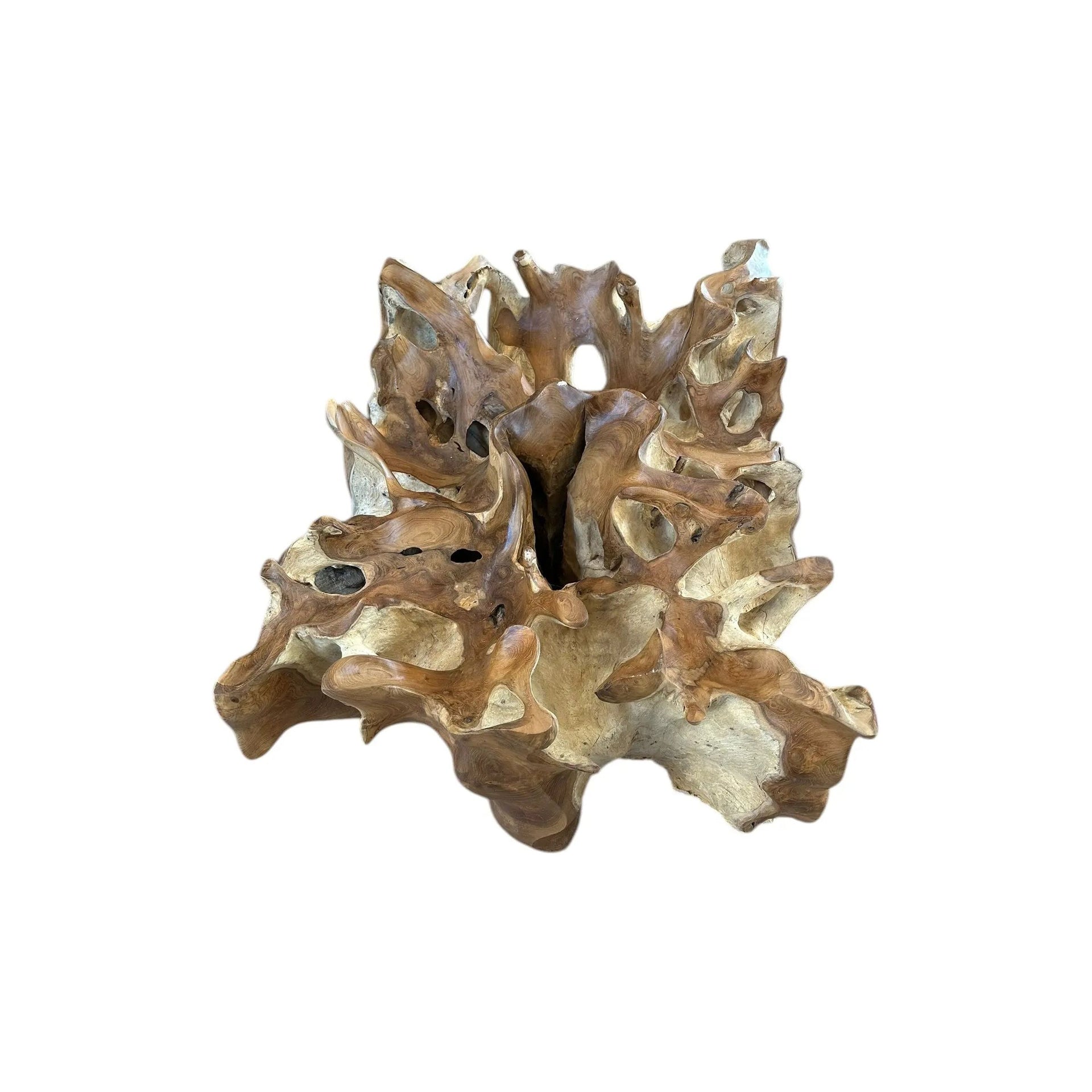 Teak Root Deco Coffee Table 24” x 32” Anteak