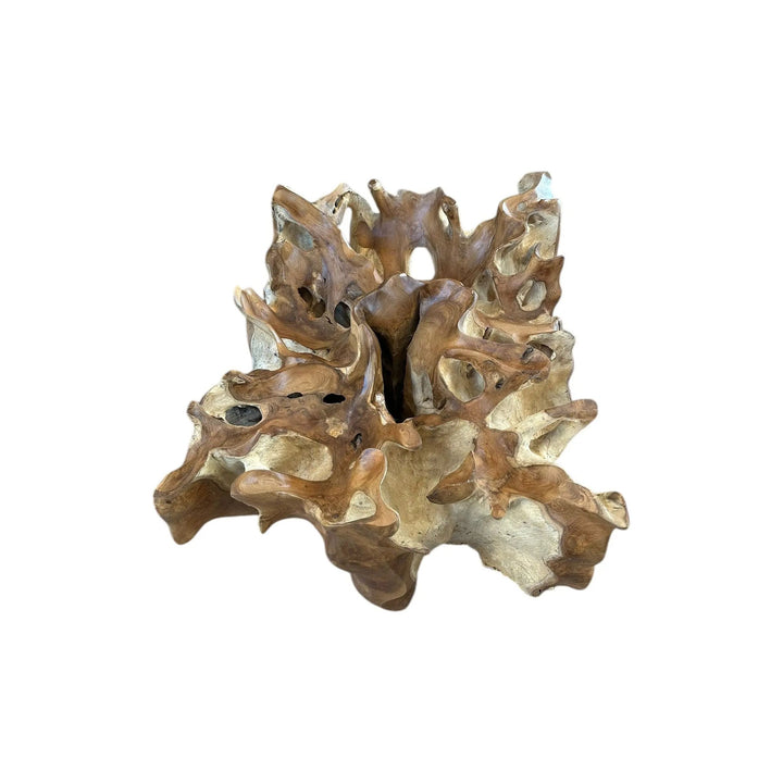 Teak Root Deco Coffee Table 24” x 32” Anteak