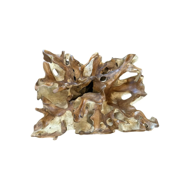 Teak Root Deco Coffee Table 24” x 32” Anteak