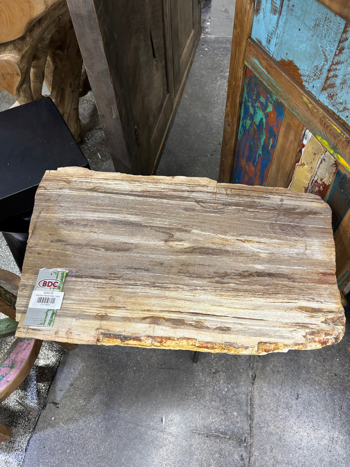 Petrified Wood Side Table Broward Design Center