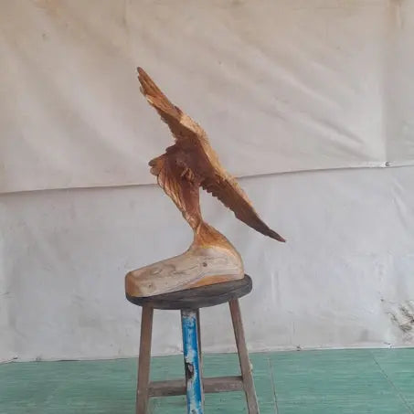 Teak Eagle 24” Anteak
