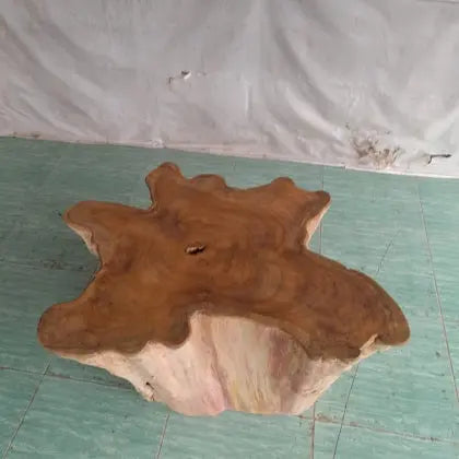 Teak Root Star Coffee Table Anteak