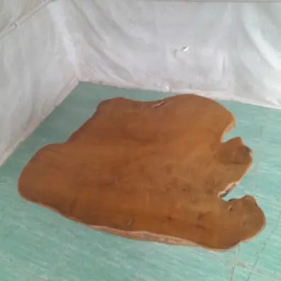 Teak Root Slab Top Coffee Table Anteak