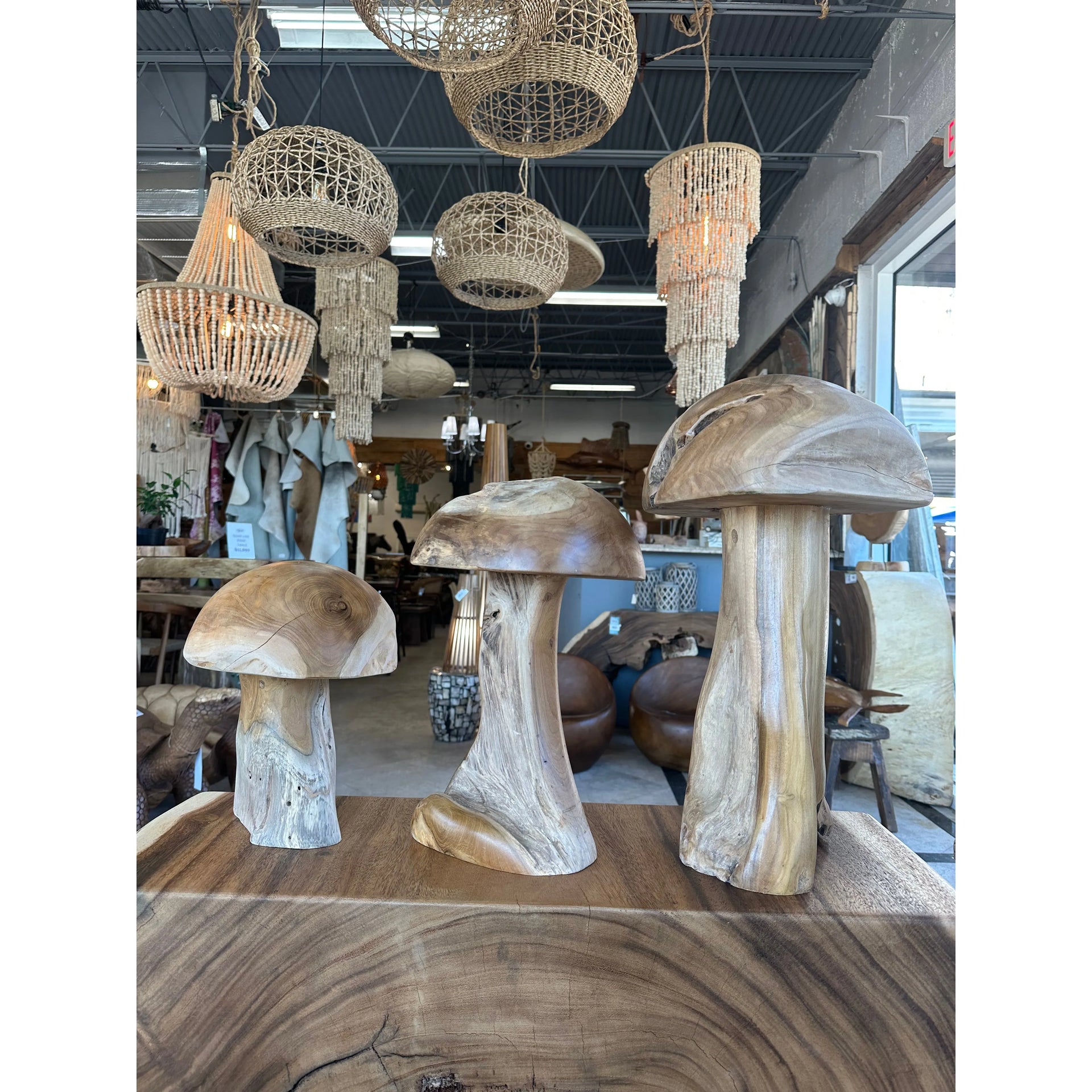 Teak Mushroom (Medium) Anteak