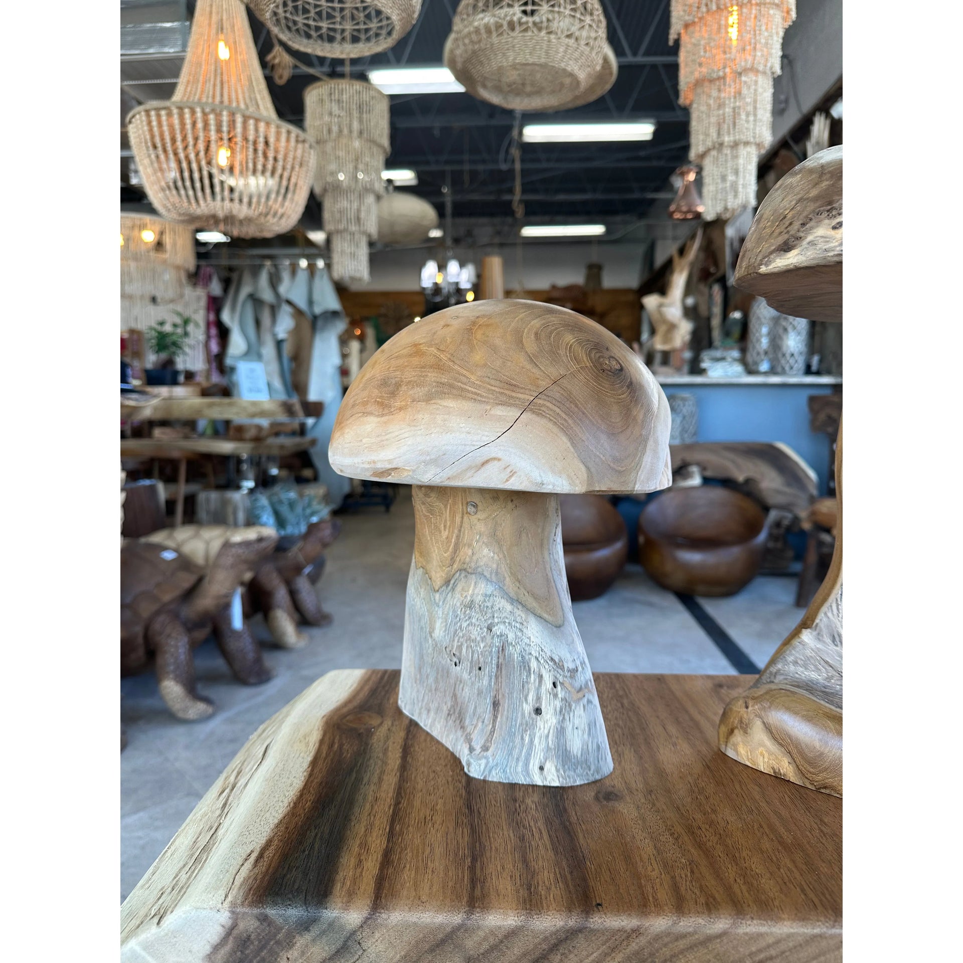 Teak Mushroom (Small) Anteak
