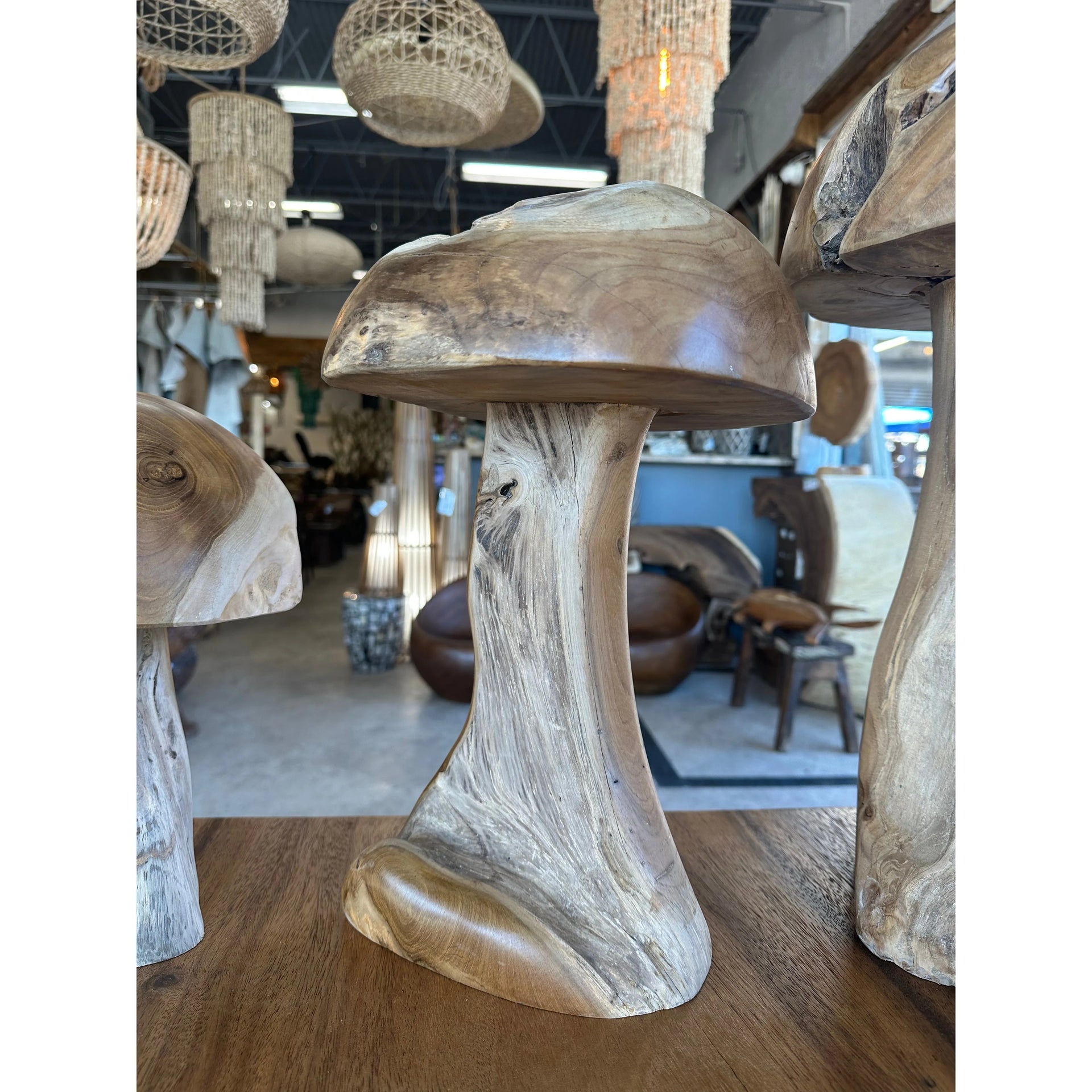 Teak Mushroom (Medium) Anteak