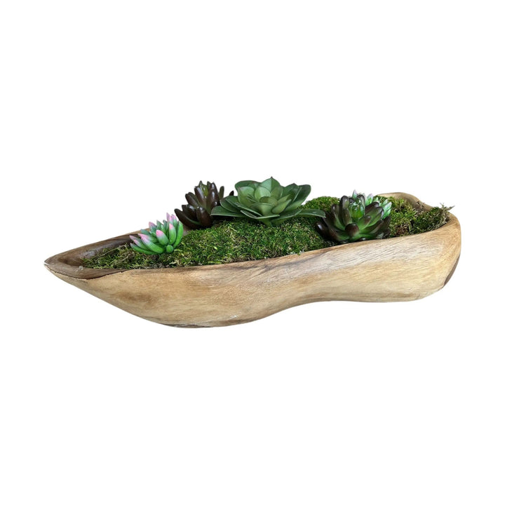 Succulent Arrangement on Teak Broward Design Center