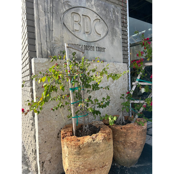 Organic Limestone Pot Anteak