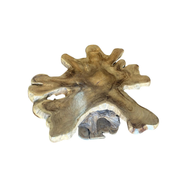 Teak Root Dining Table Broward Design Center