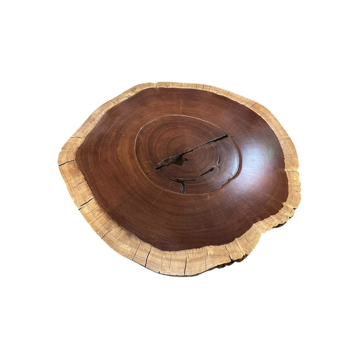 Suar Coffee Table w/ black legs The Broward Design Center