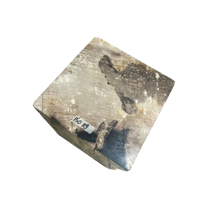 Petrified Wood Square Stool (H) Broward Design Center
