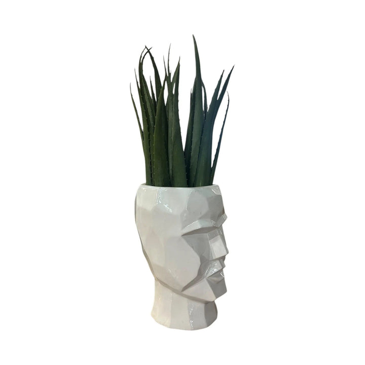 3D Skull Planter Broward Design Center