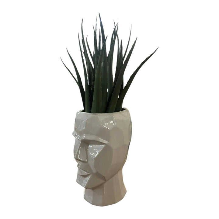 3D Skull Planter Broward Design Center