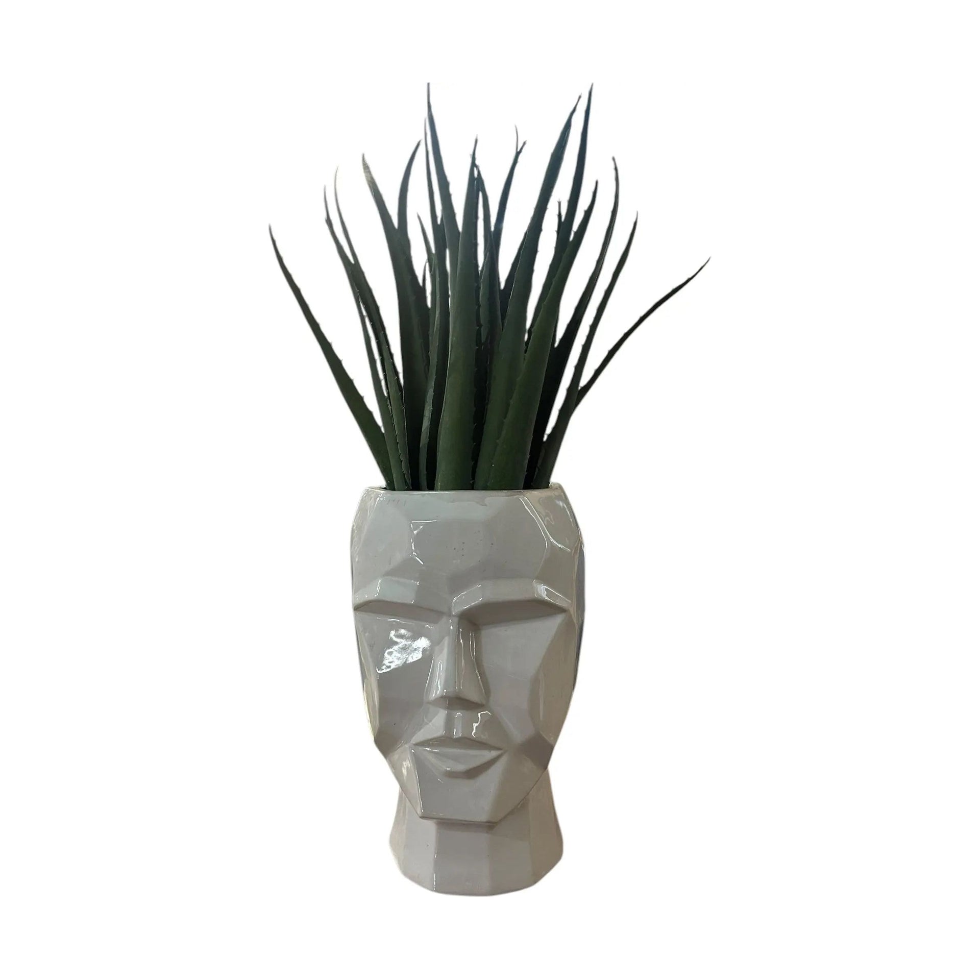 3D Skull Planter Broward Design Center