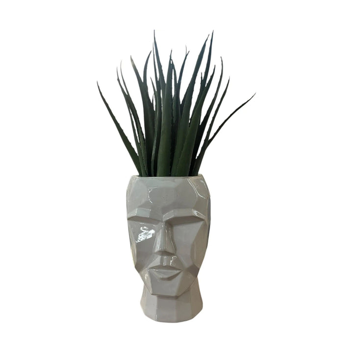 3D Skull Planter Broward Design Center