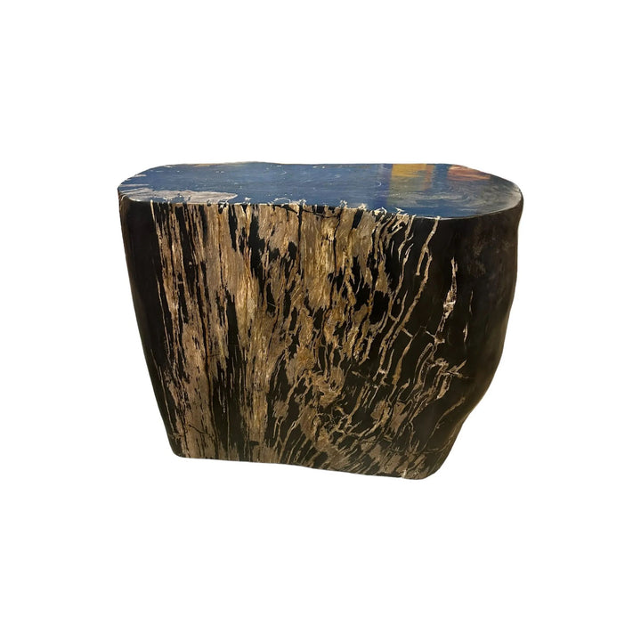 Petrified Wood Stool (K) Broward Design Center