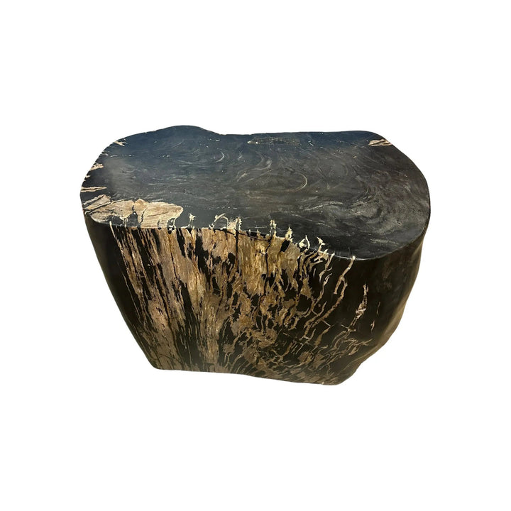 Petrified Wood Stool (K) Broward Design Center