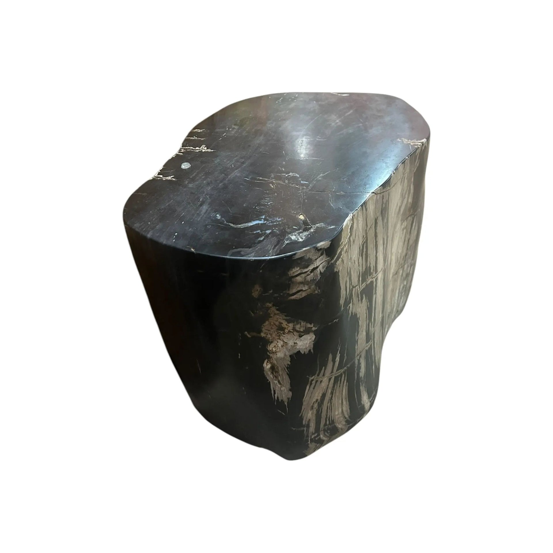 Petrified Wood Stump Broward Design Center