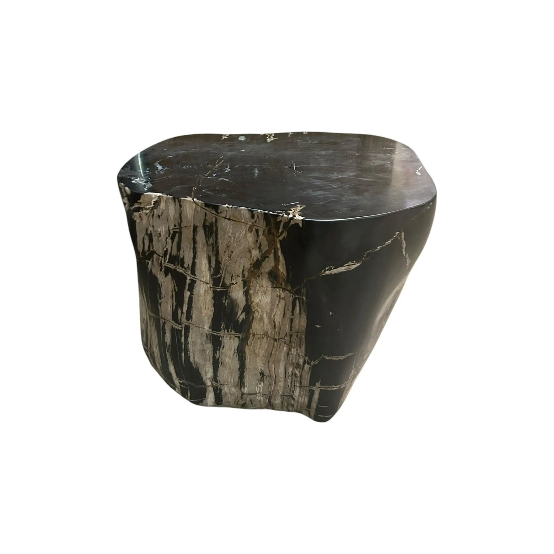 Petrified Wood Stump Broward Design Center
