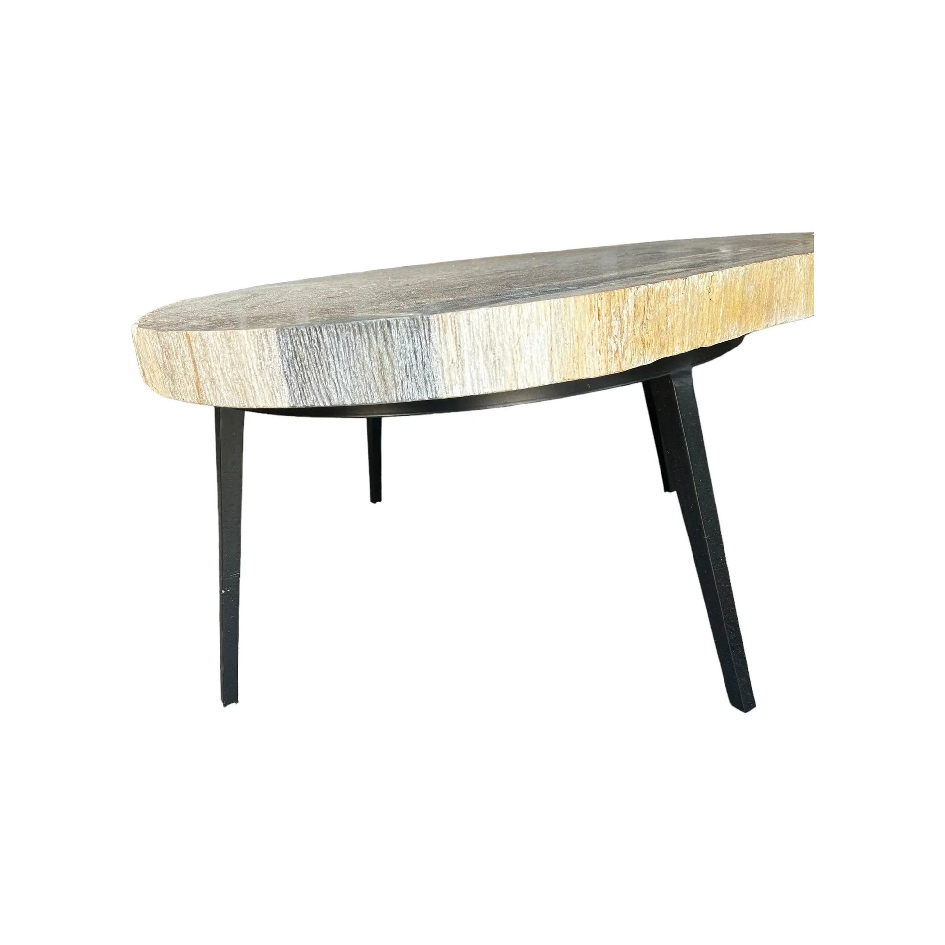 Petrified Wood Coffee Table (C) Broward Design Center