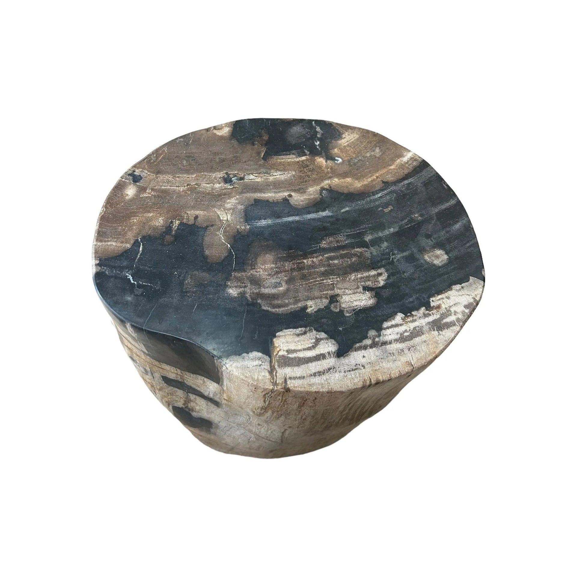Petrified Wood Stool (L) Broward Design Center
