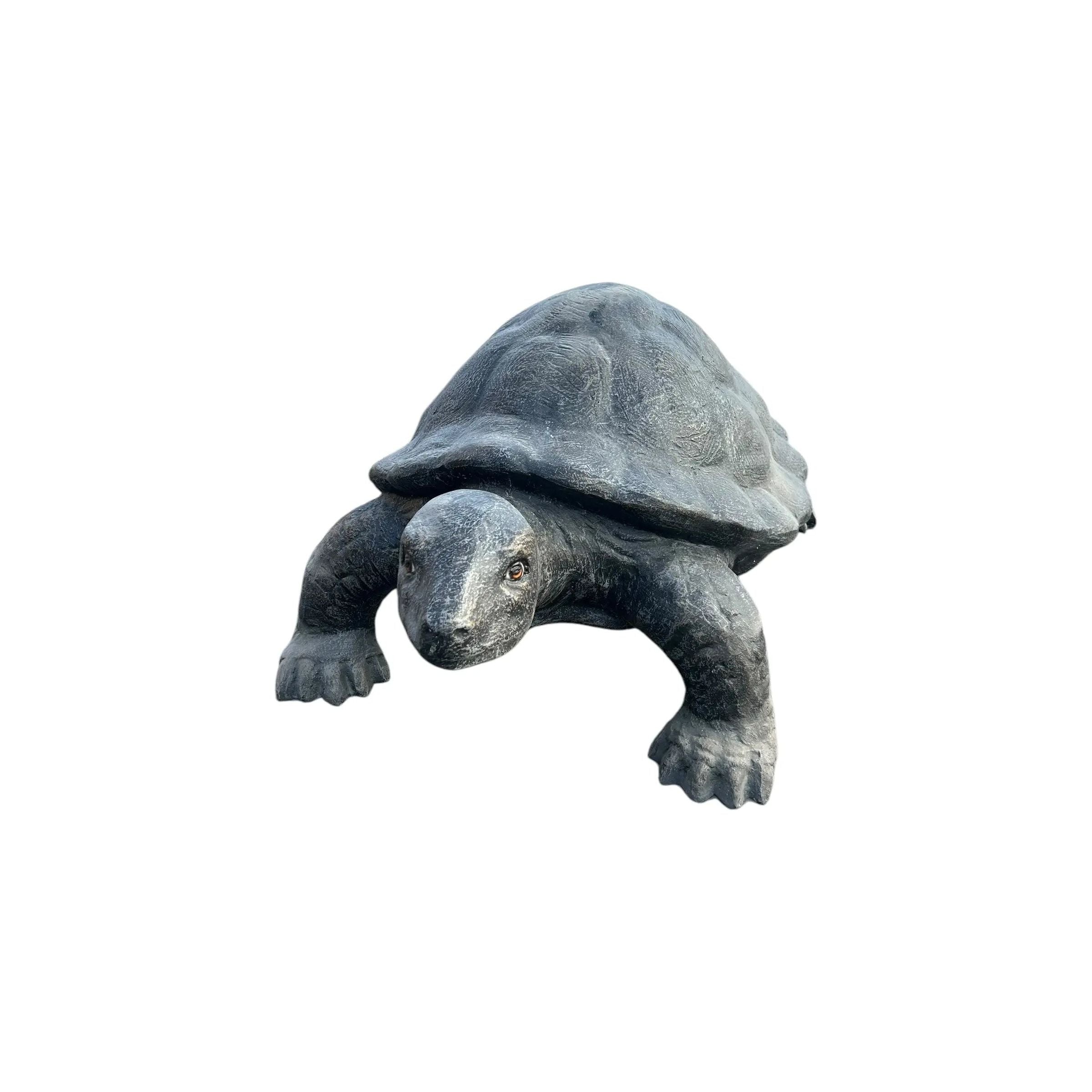 GRC Turtle Anteak 10/9/24