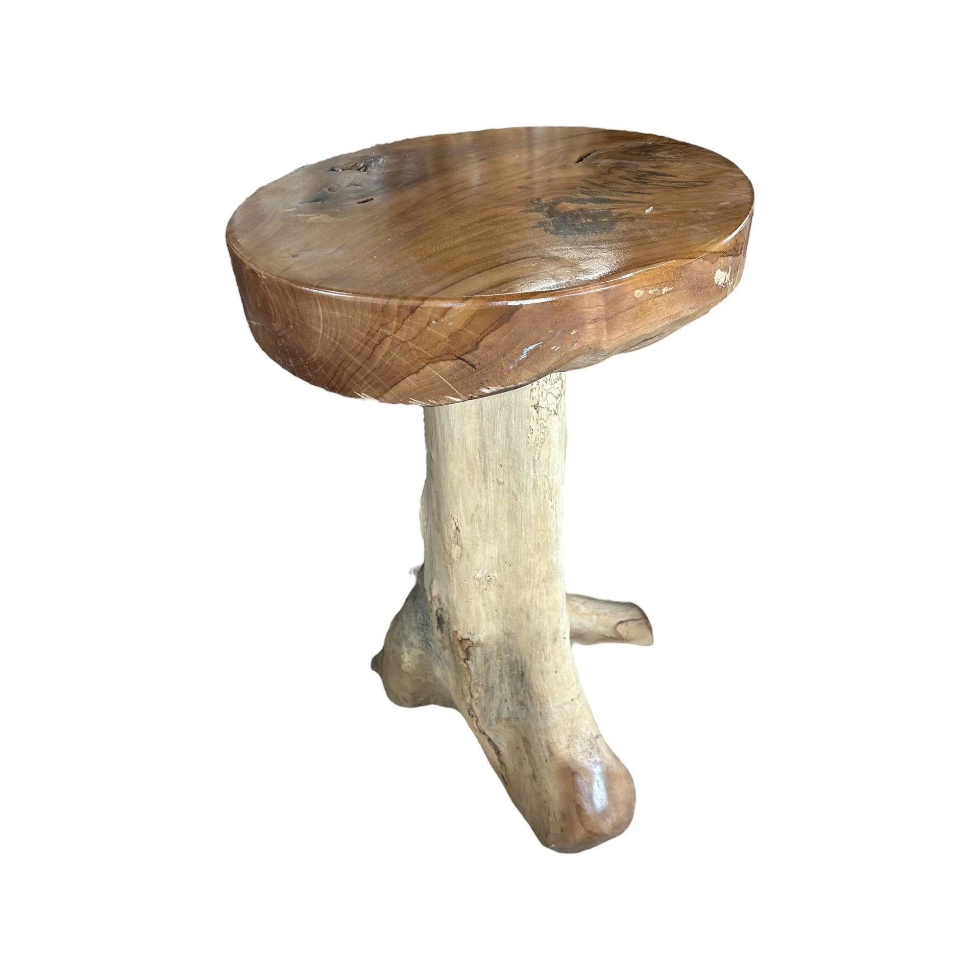Teak Root Round Seat Barstool (B) Broward Design Center