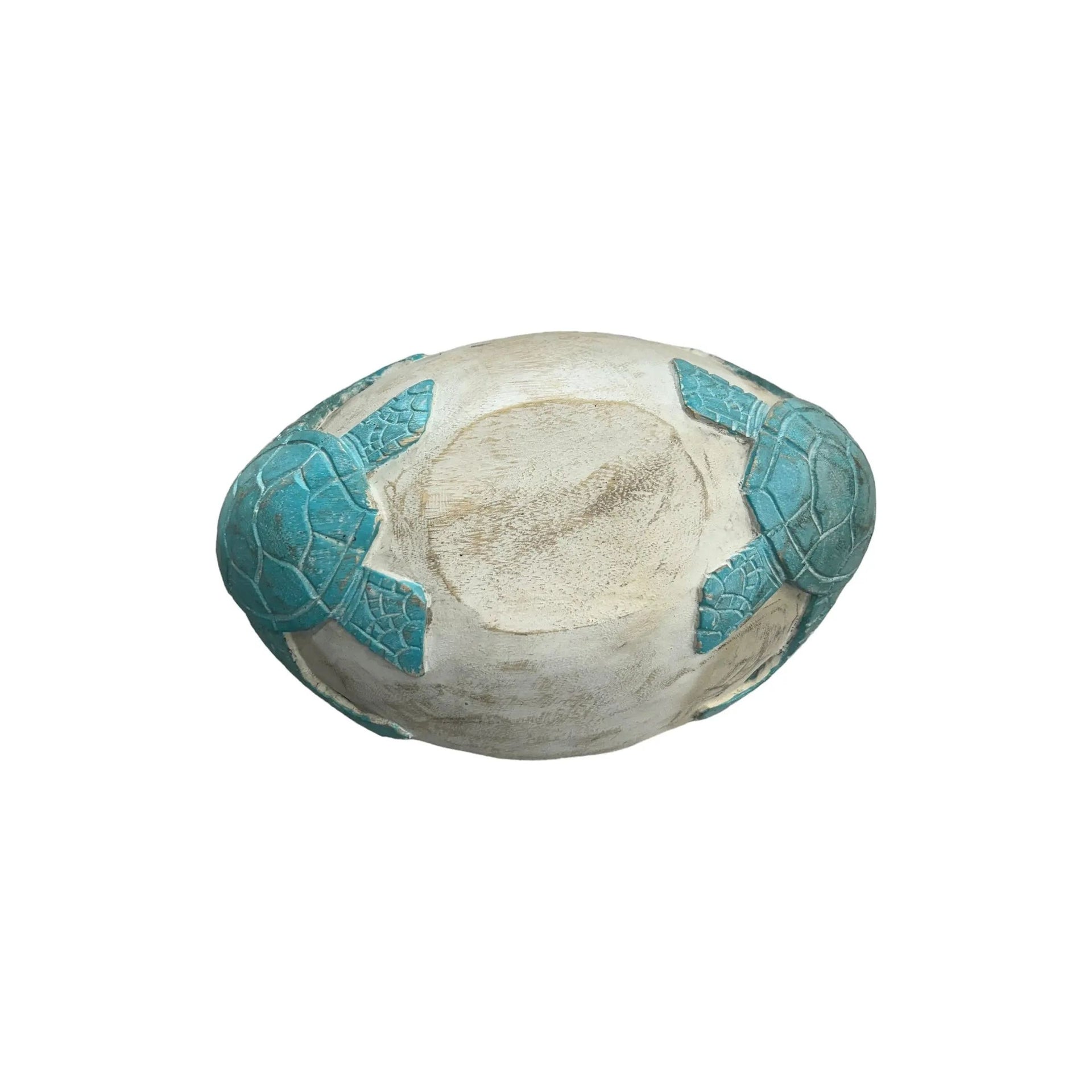 Sea turtle Bowl Broward Design Center