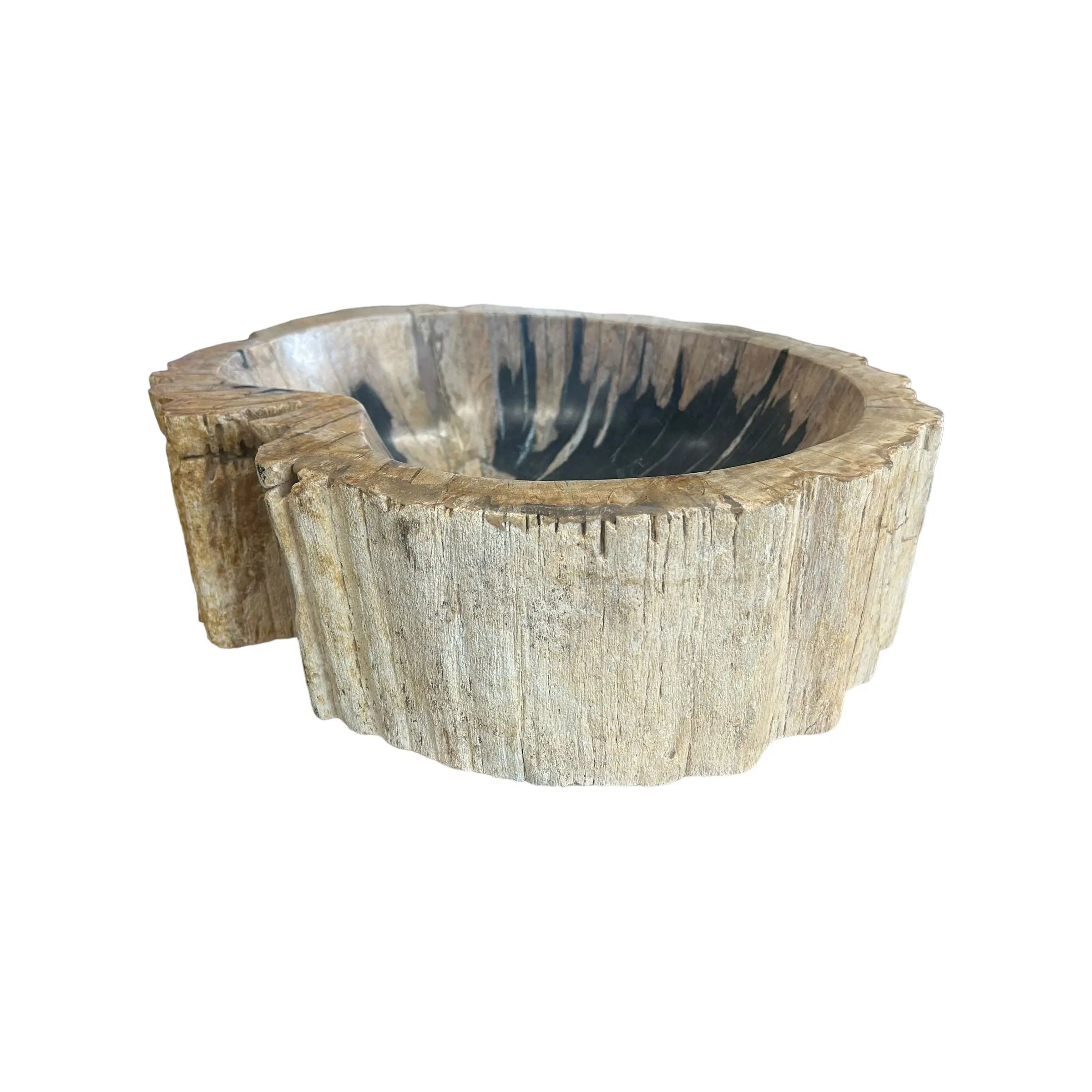 Petrified Wood Sink Broward Design Center