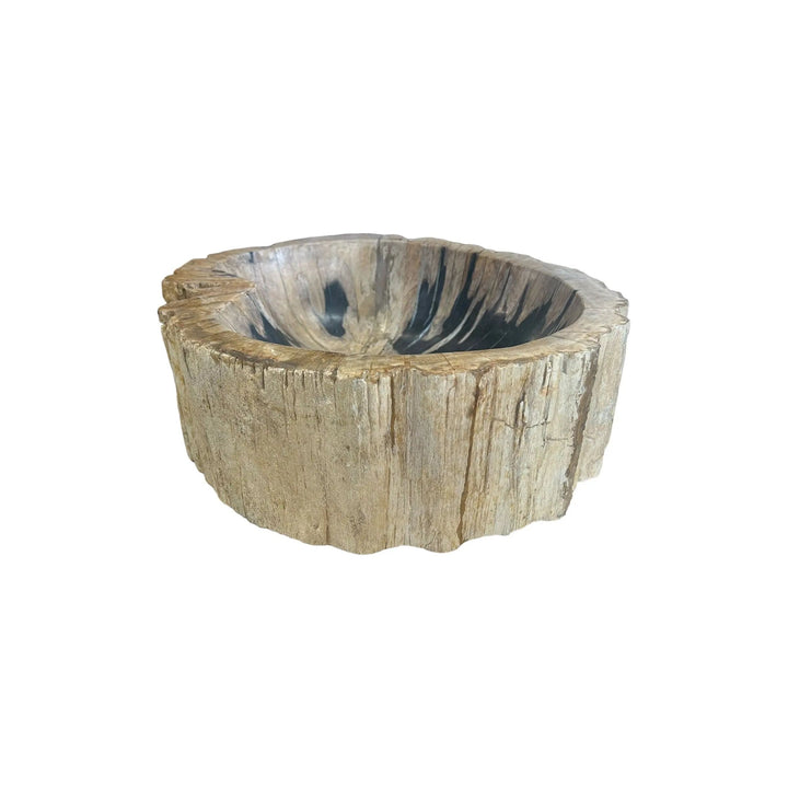 Petrified Wood Sink Broward Design Center