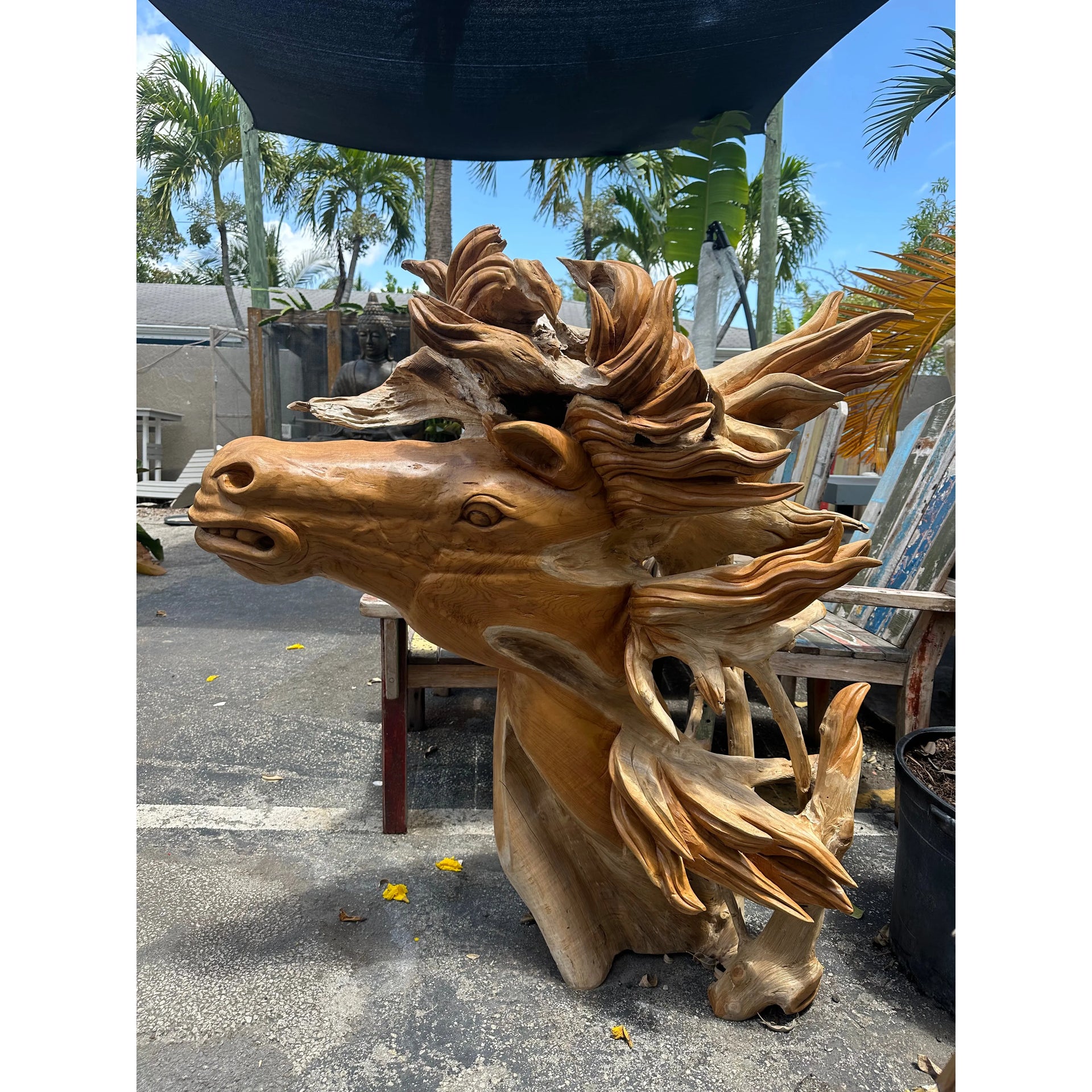 Teak Abstract Horse XL Anteak