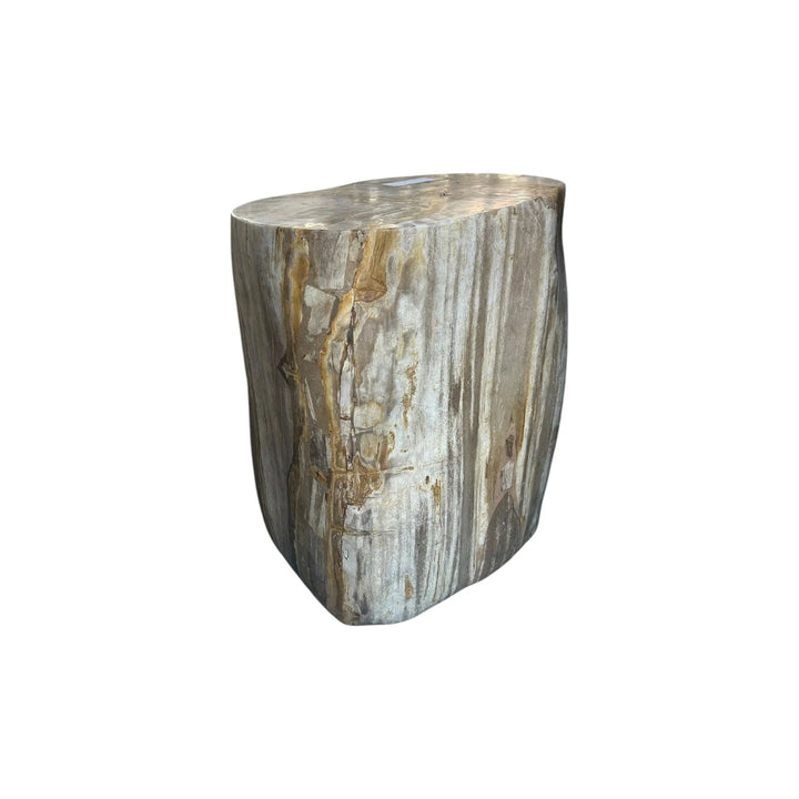 Petrified Wood Stump (M) The Broward Design Center