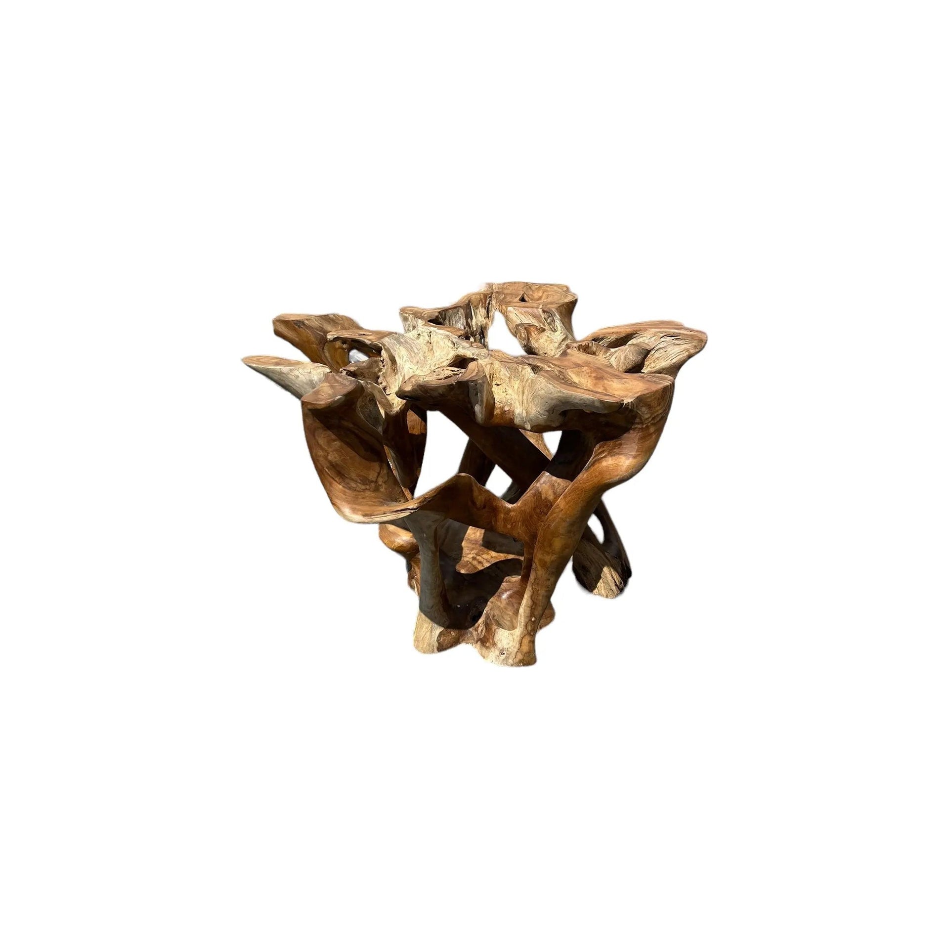 Deco Teak Root Dining Table XL (A) Broward Design Center