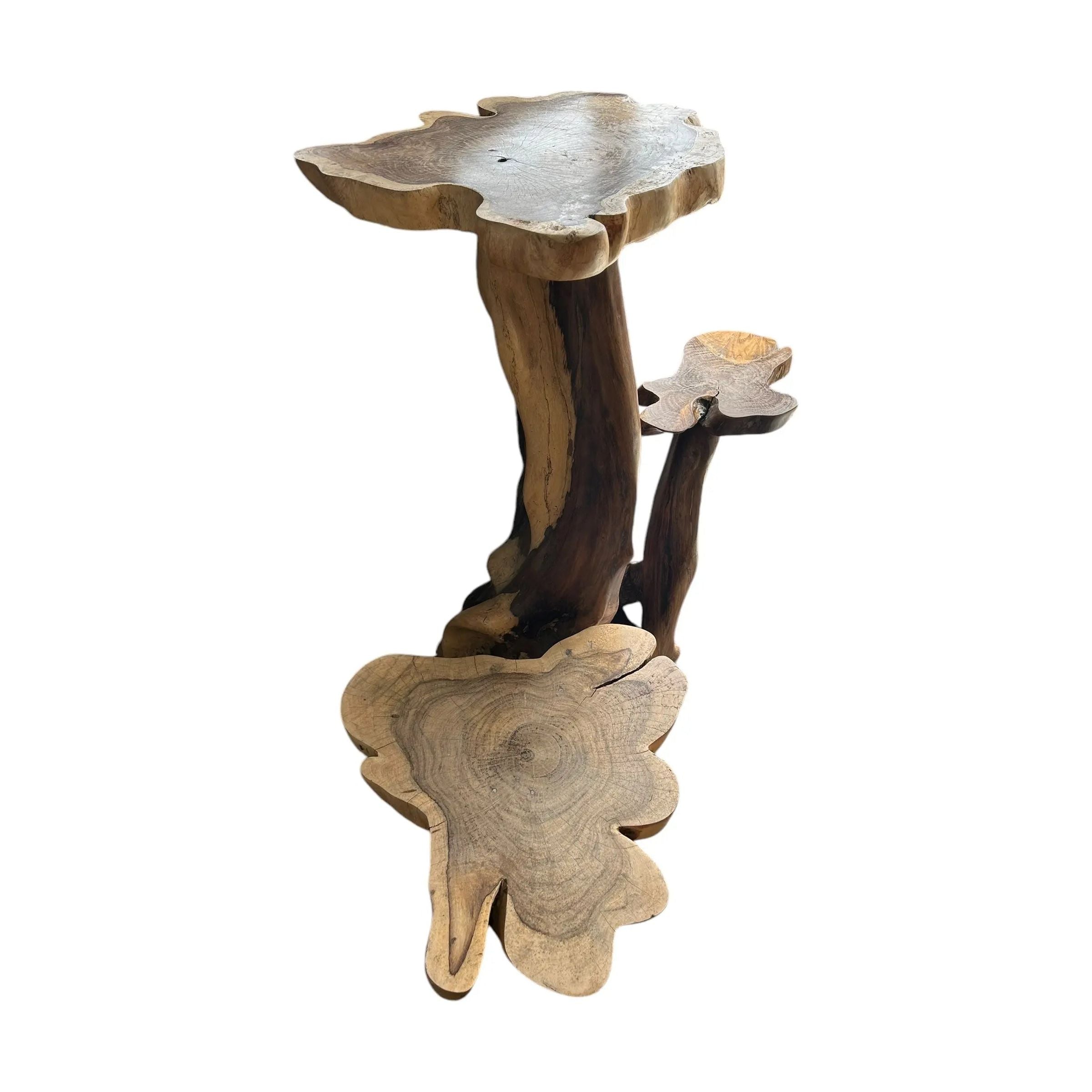 3 Tier Rosewood Display Stand Broward Design Center