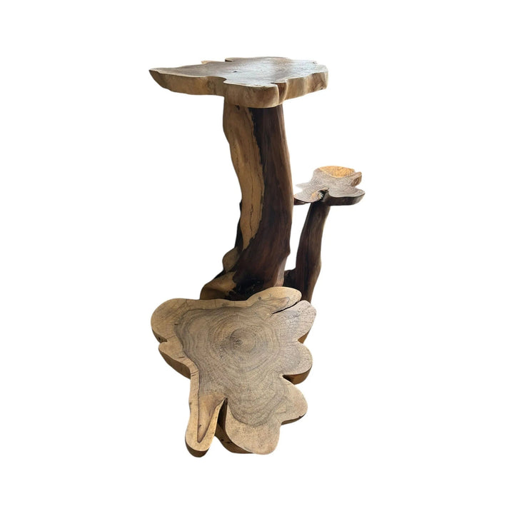 3 Tier Rosewood Display Stand Broward Design Center
