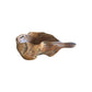 Teak Erosion Bowl