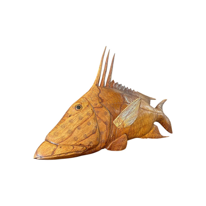 Teak Hogfish The Broward Design Center