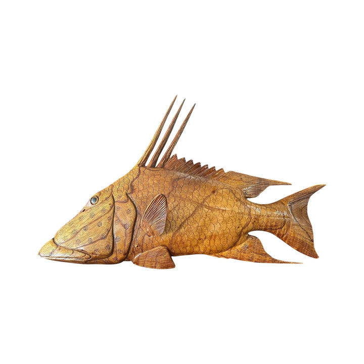 Teak Hogfish The Broward Design Center