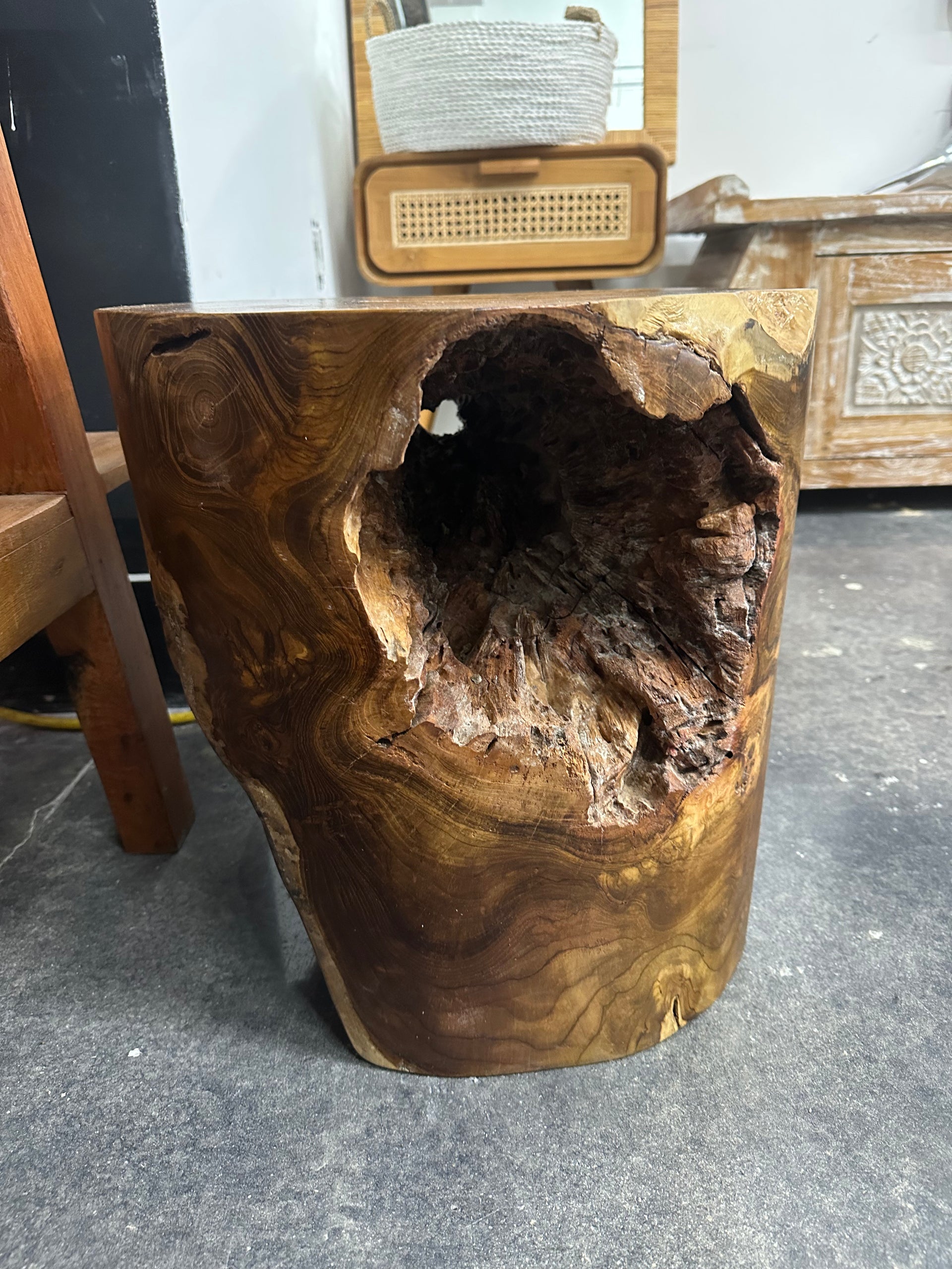 Teak Erosion Stump (B) The Broward Design Center