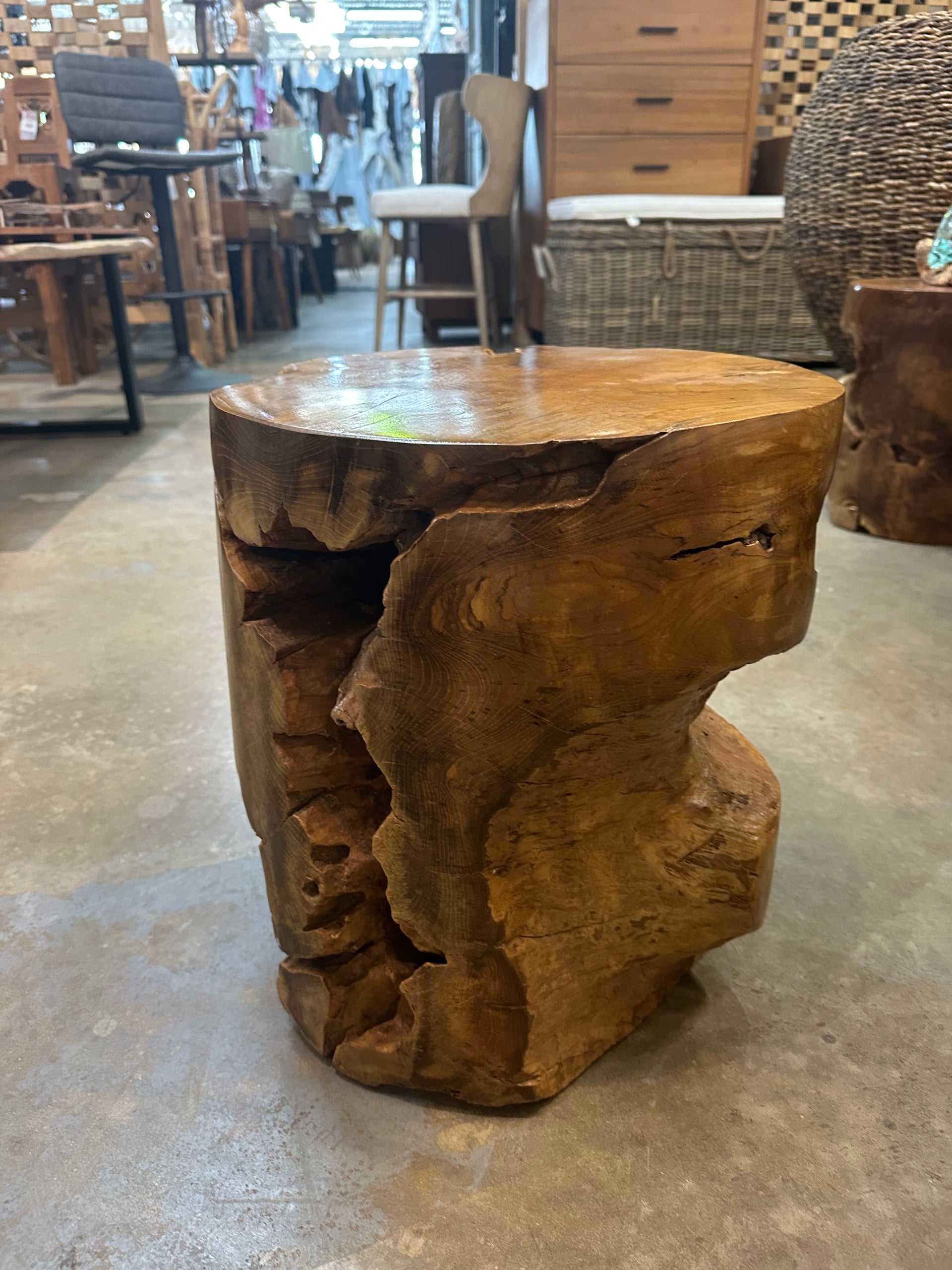 Teak Erosion Stump (C) The Broward Design Center