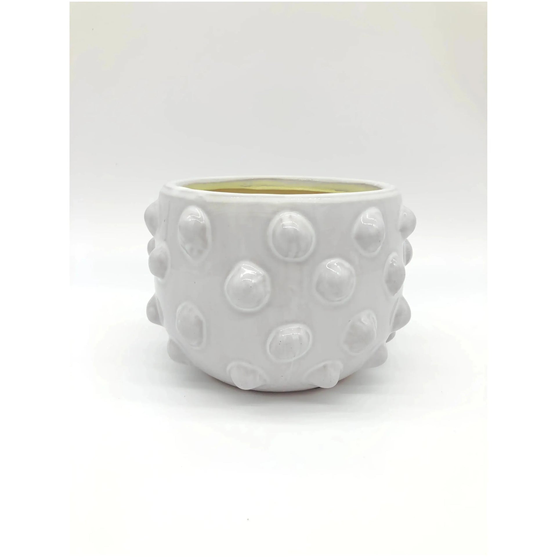 Rosa Pot Broward Design Center