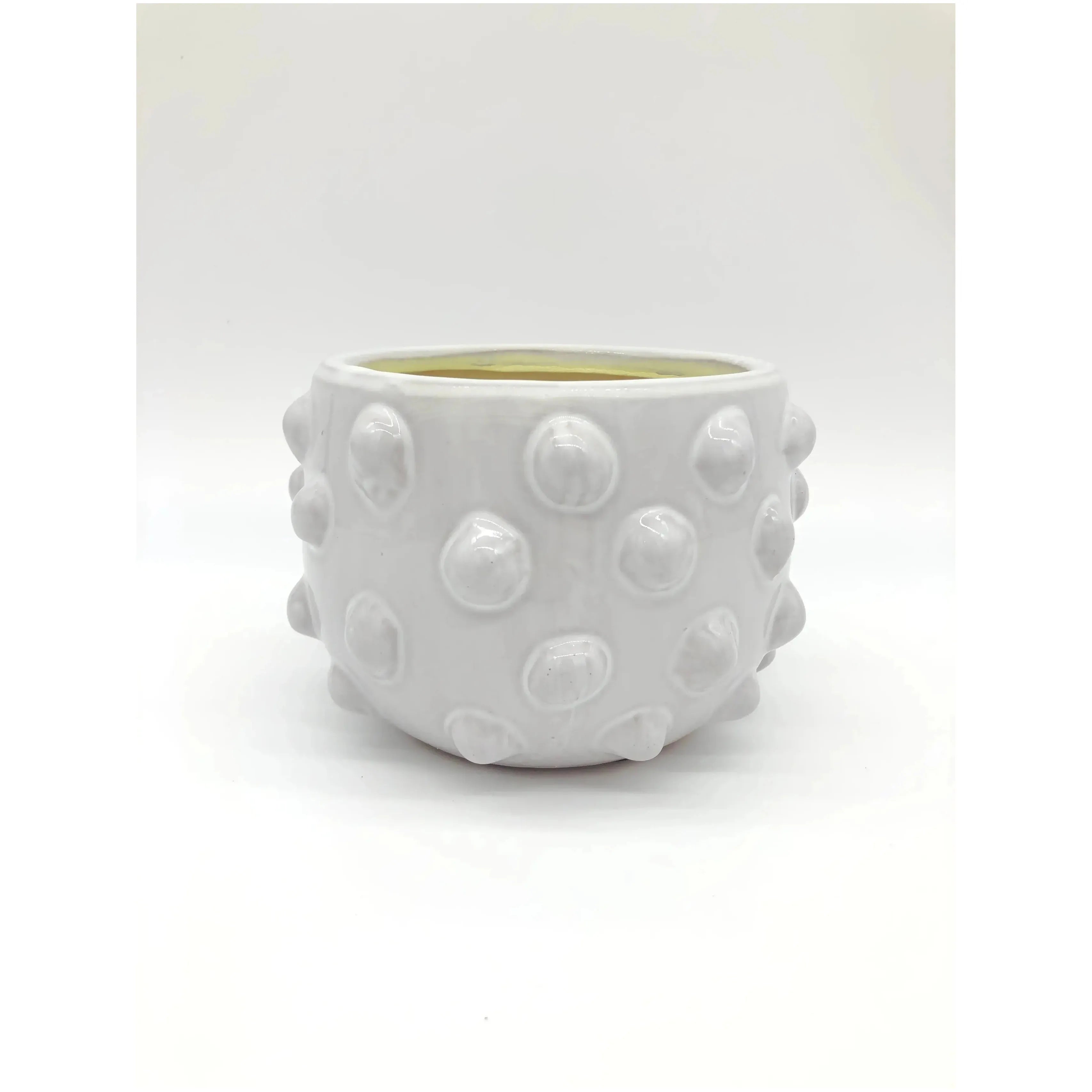 Rosa Pot Broward Design Center
