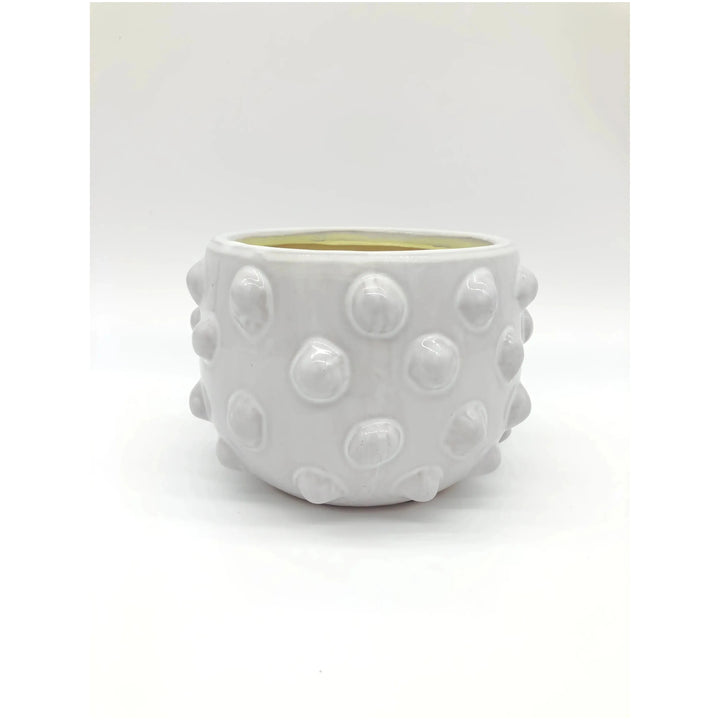 Rosa Pot Broward Design Center