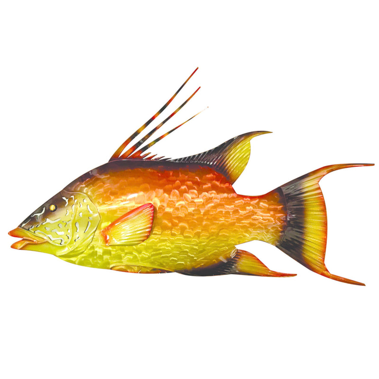 Vibrant Hogfish Broward Design Center