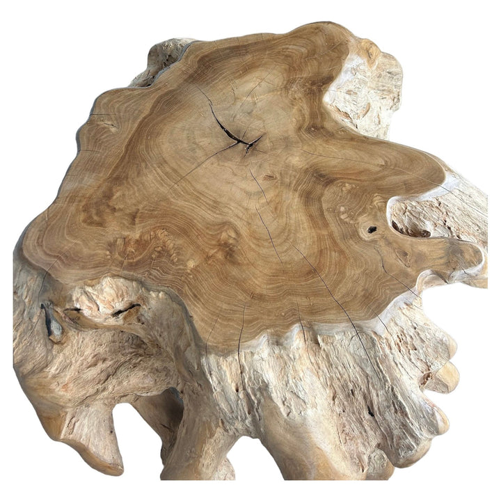 Organic Teak Table Broward Design Center