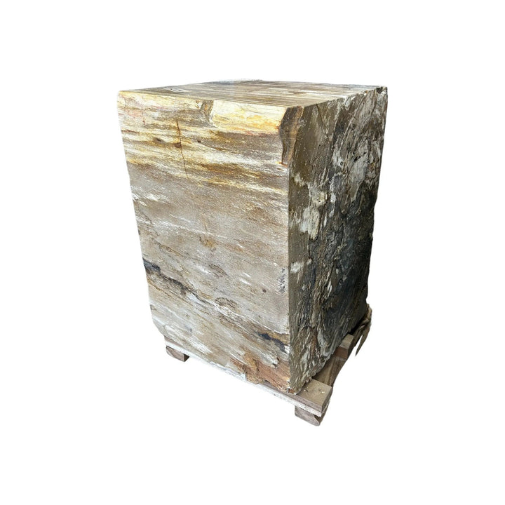 Petrified Wood Square Stool (E) Broward Design Center