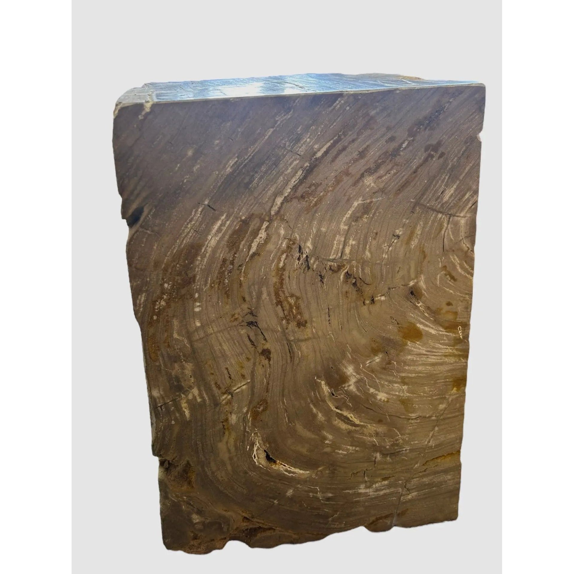 Petrified Wood Square Stool (F) Broward Design Center
