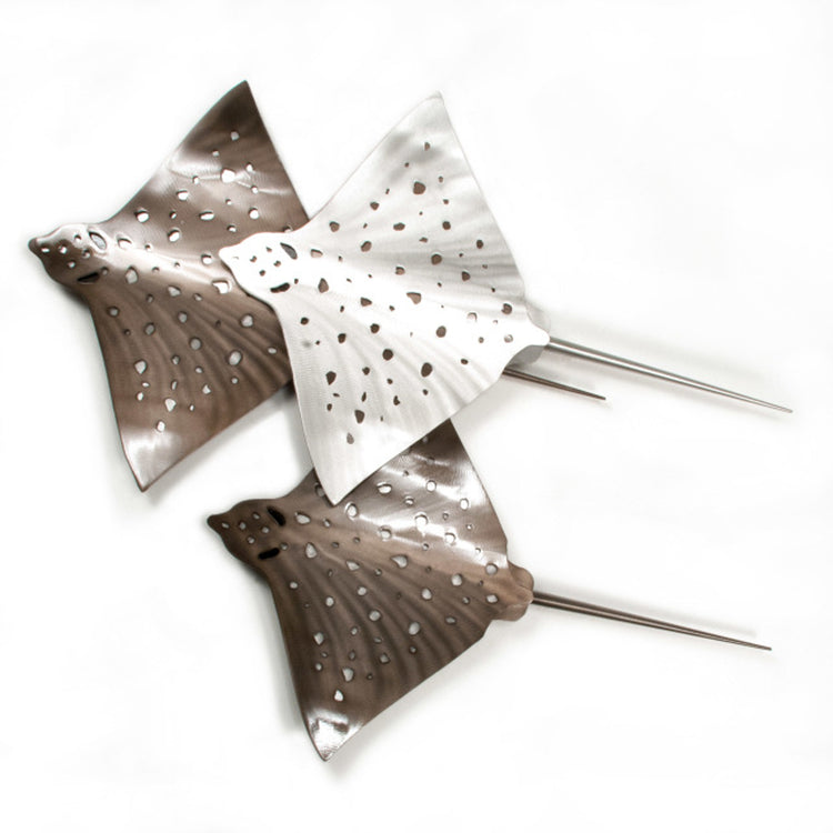 Eagle Rays Triple Broward Design Center